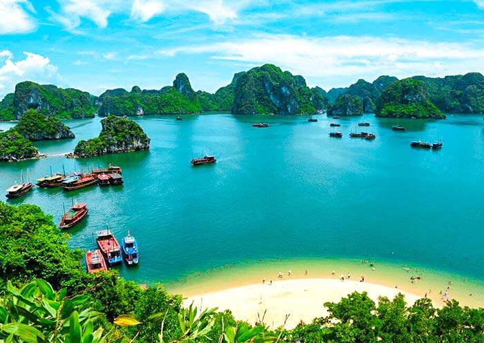 Vietnam Tour